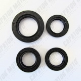 Набор сальников двигателя 152QMI, 157QMJ 125/150 см3 ТММР