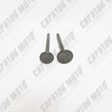 Клапаны ГРМ 139QMB, 139FMB (d=16/18,5) (L69/69)