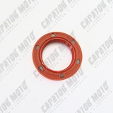 Сальник заднего колеса TTR250 (28х42х7)