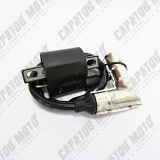 Катушка зажигания со свечным колпачком 166FMM (CB250) TTR250Rb