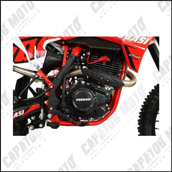Эндуро с ПТС PROGASI Super Max 250 RR Red - 1